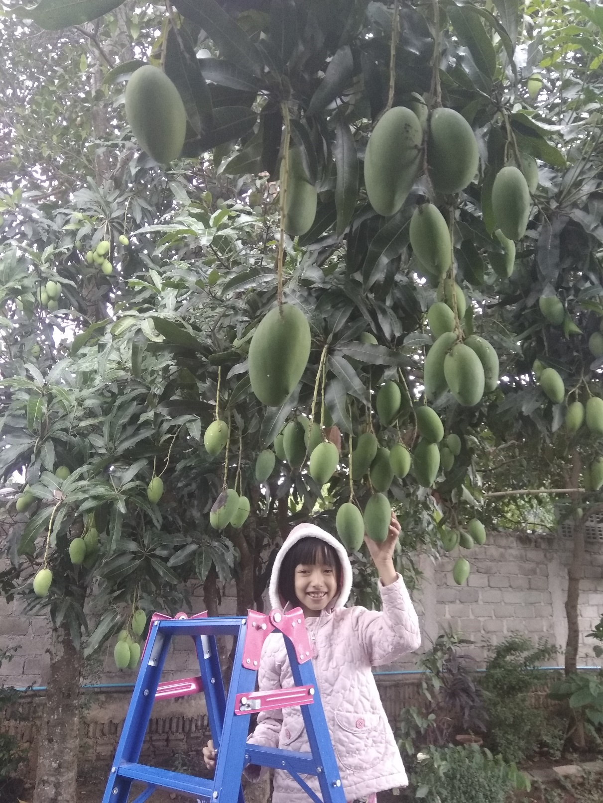 This is Snow proudly displaying a mango.