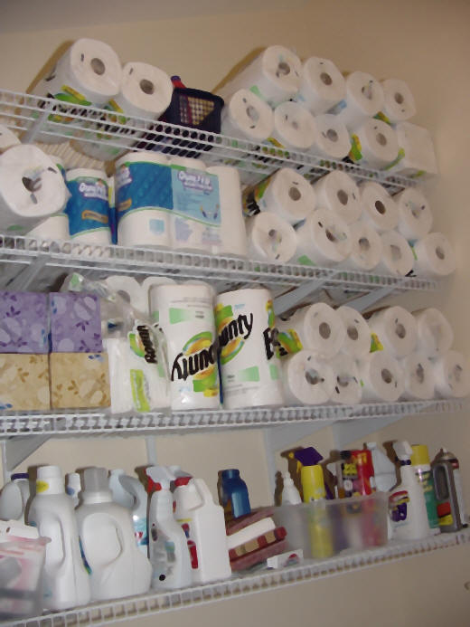 photo of paper towels and TP