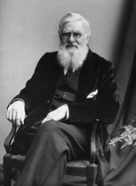 Alfred Russel Wallace