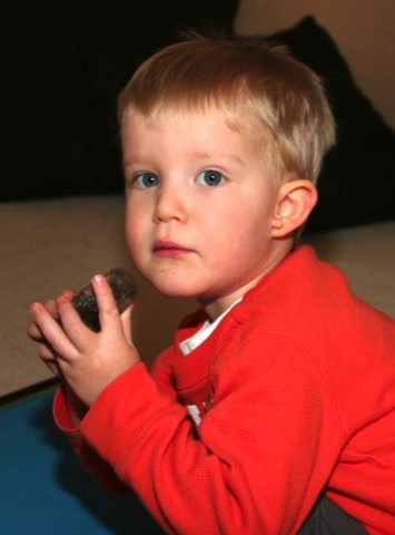 Owen looking at the fossil