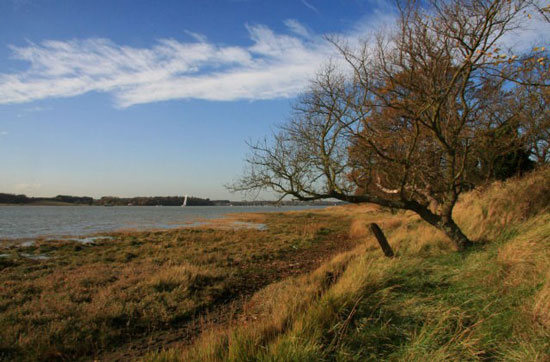 River Orwell
