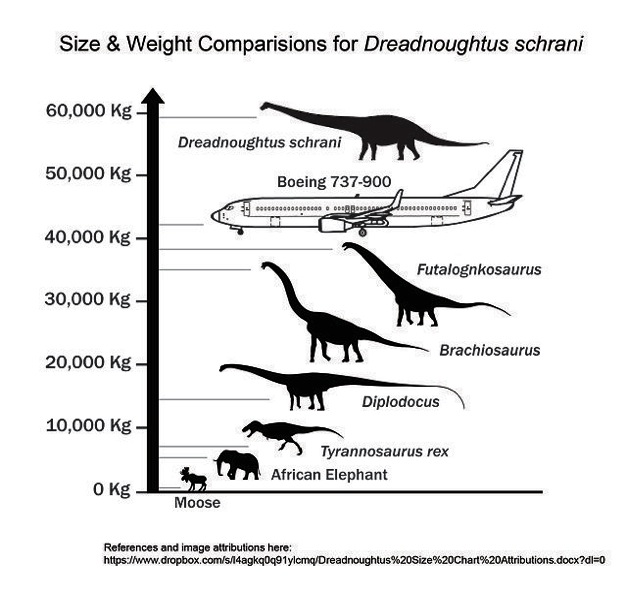 Dreadnoughts on Wiki