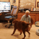 Ginger’s 9th Birthday