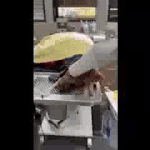 Ginger’s Day at the Dentist