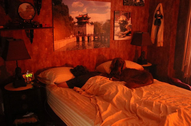 Ginger on bed with Michelle