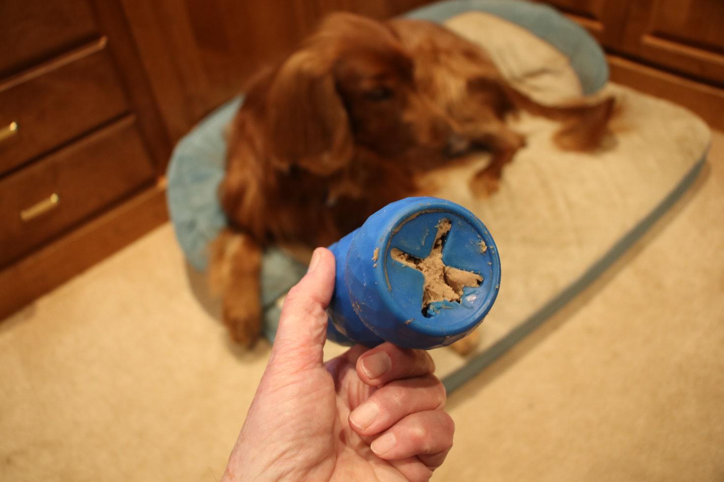 Rubber chew toy with dry food