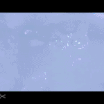 I Felt Like Dr. Brackish Okun