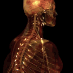 I Want To Remember the Past