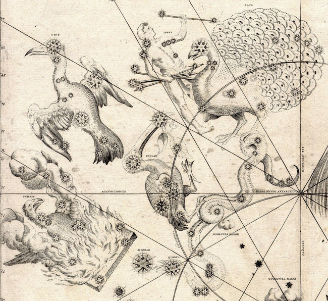 Bayer’s drawing of the southern constellations