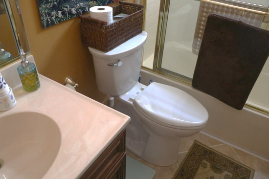 Toilet bowl