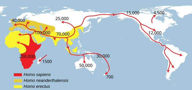 Our genetic roots are from Africa.