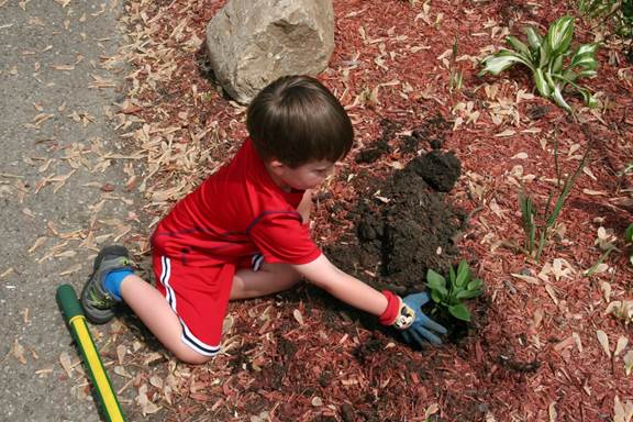 Jack planting