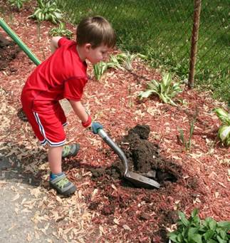 Jack digging