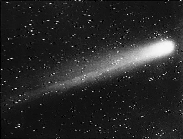 Halley's Comet