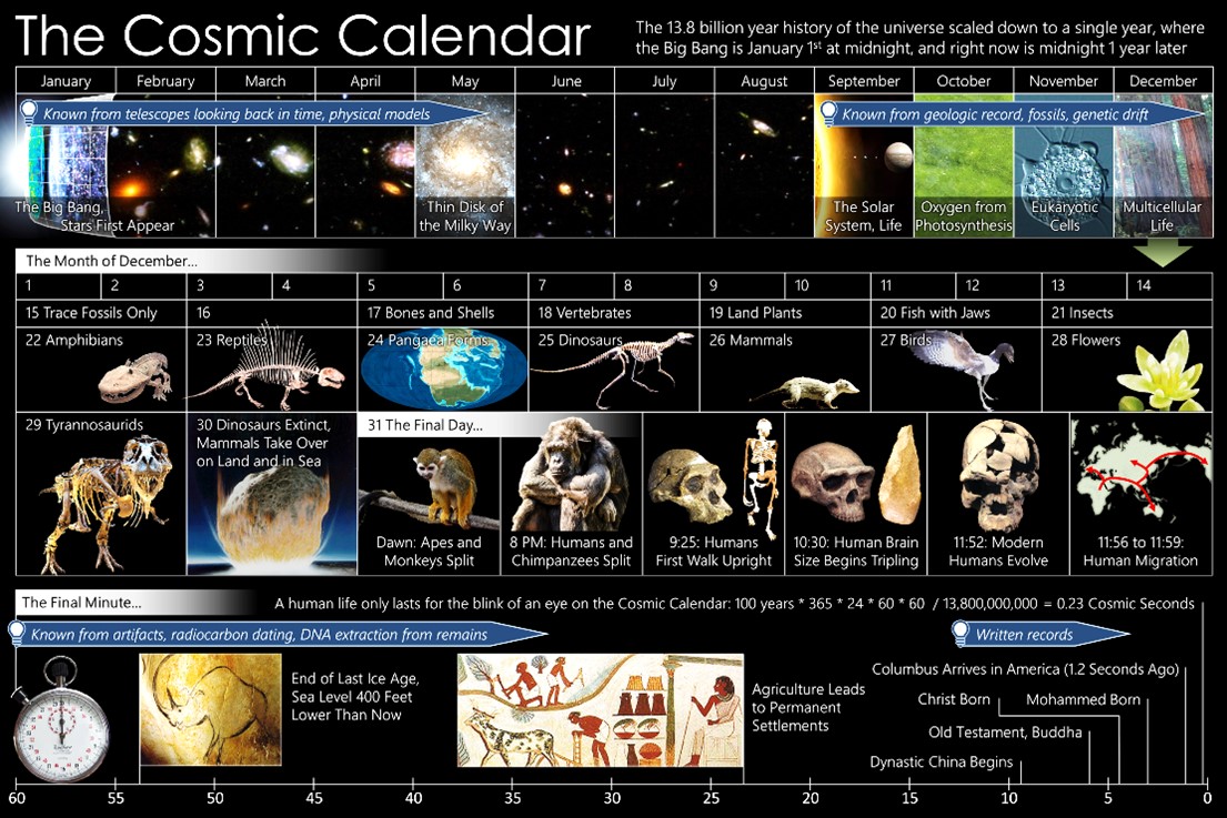 cosmic-calendar-thumbnail