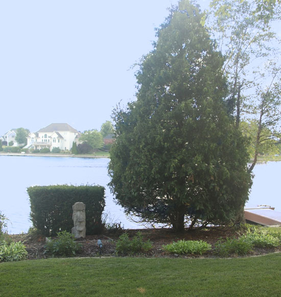 Lake view