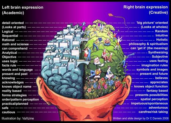  This is a picture of how our hemispheres function.