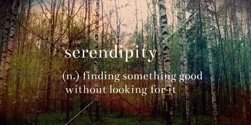 Serendipity