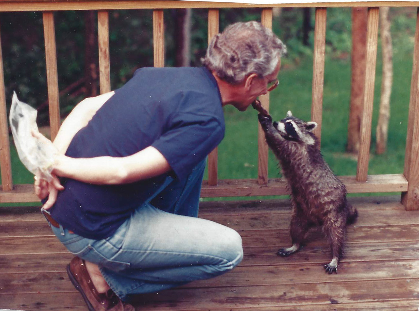 Raccoon and Me alone
