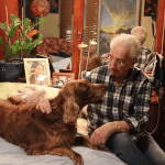 St. Patrick's Day Chat with My Irish Setter