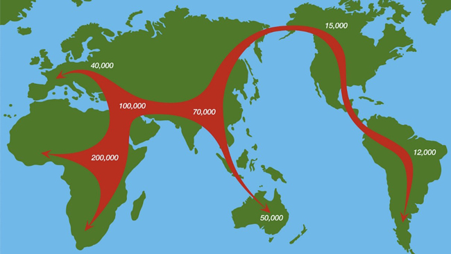 The migration out of Africa