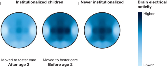  Harvard Medical School findings