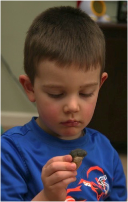 Description: Jack looking at the fossil
