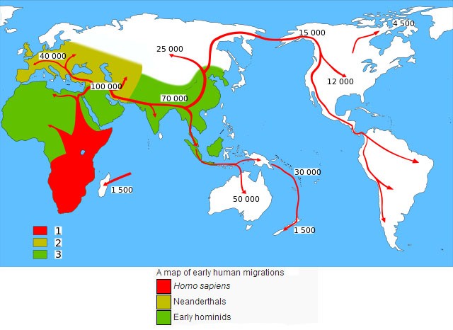 The migration out of Africa
