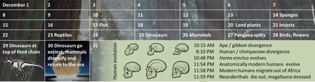 The month of December in the Cosmic Calendar