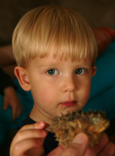 Owen is concerned about the prickly blowfish