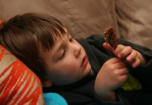 Jack is examining a seahorse