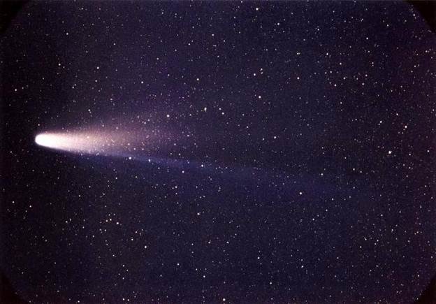 Halley's Comet