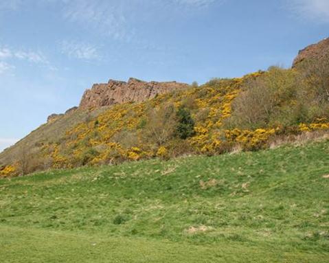 Arthur's Seat