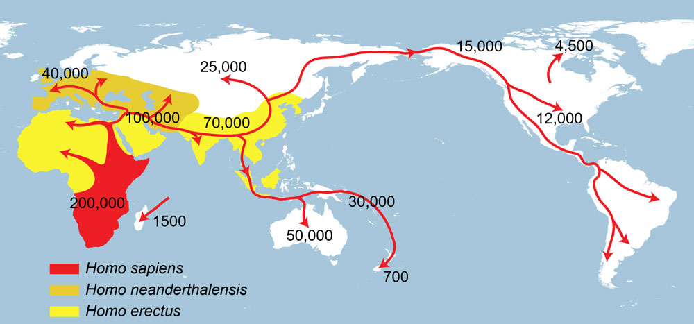 Human history