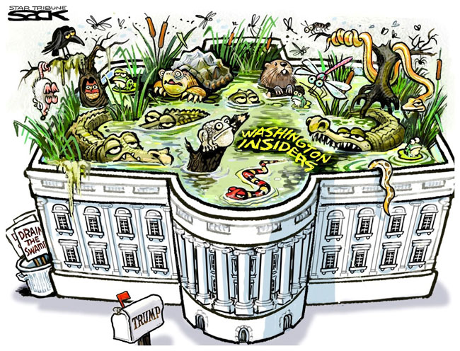 The swamp