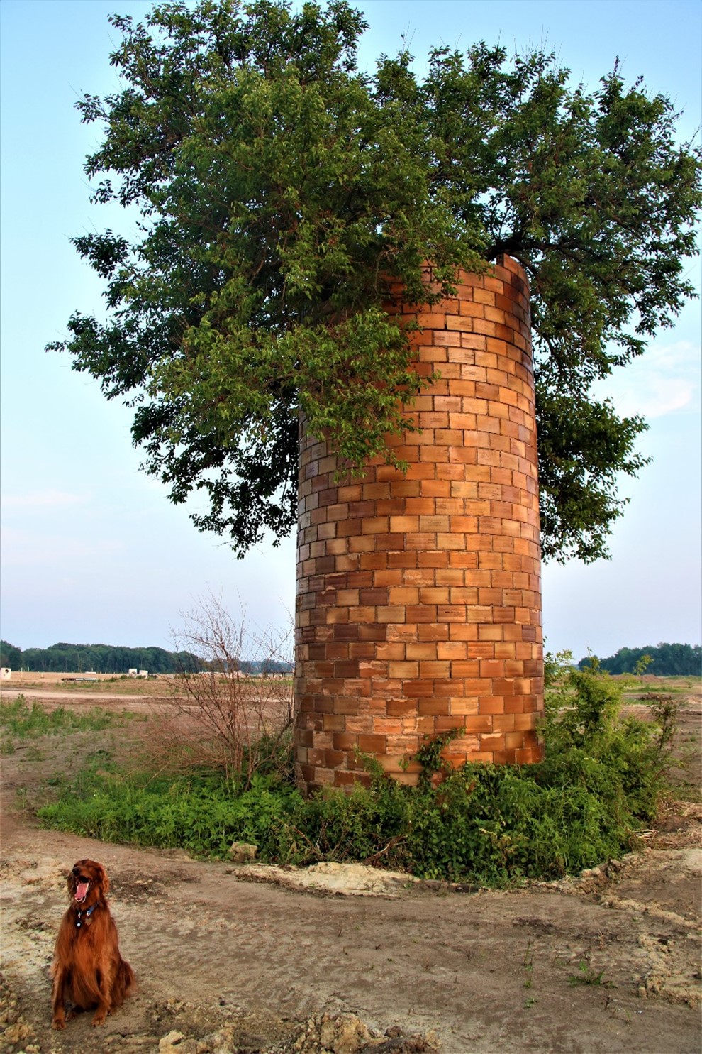 Silo and Ginger