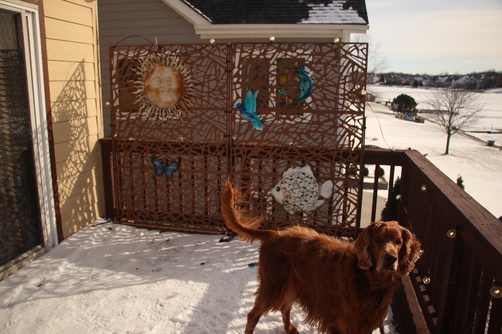 My completed masterpiece