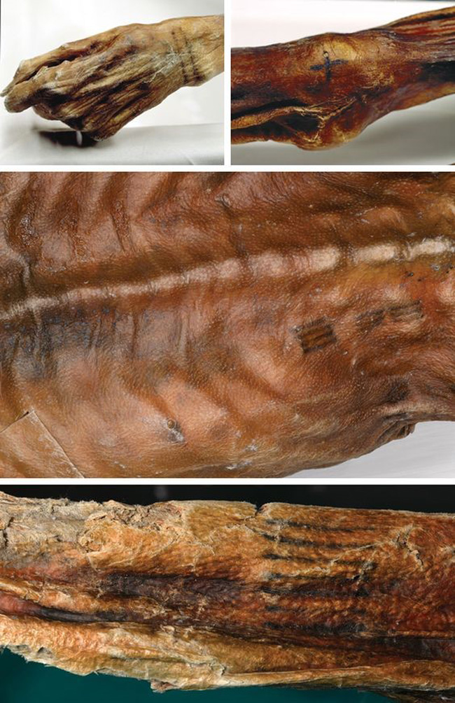 Ötzi’s tattoos