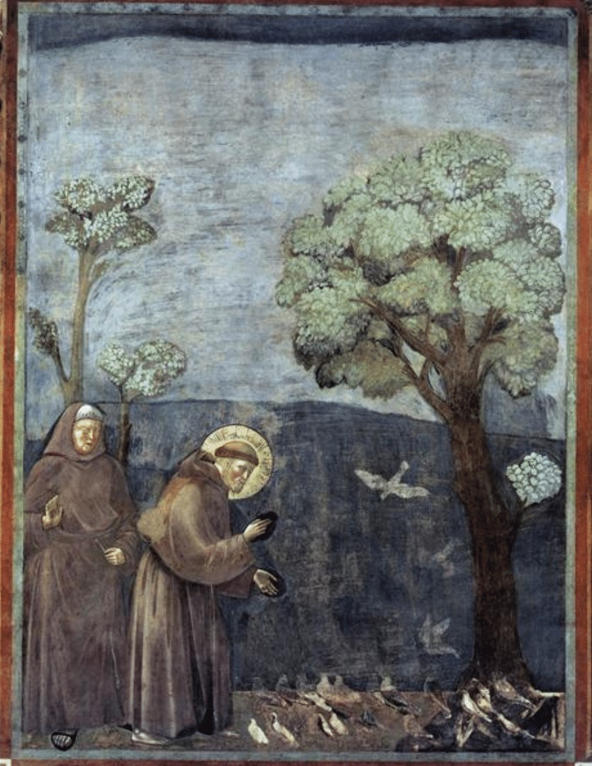 Giotto’s St. Francis