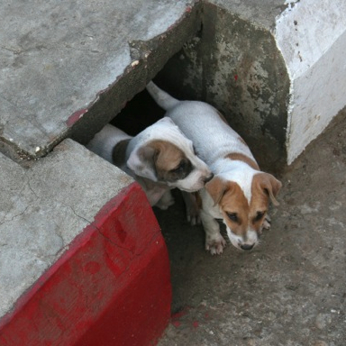 What I Learned on the Streets of Yangon... thumbnail