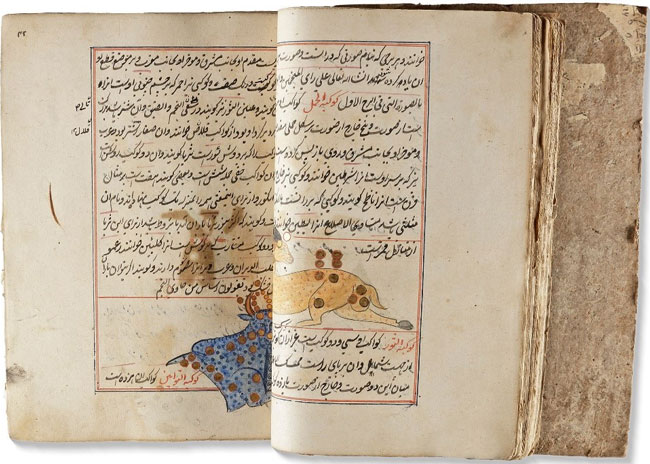 This is a late 18th-century copy of the Rihla.