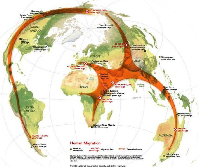 We all came out of Africa.