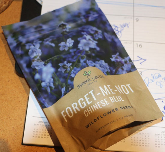 Forget-me-not Seeds