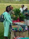 DSC0005