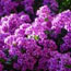 image07