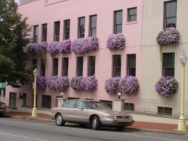 DSC00039