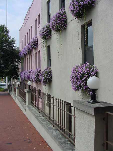 DSC00043