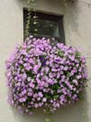 DSC00042