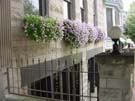 DSC00045