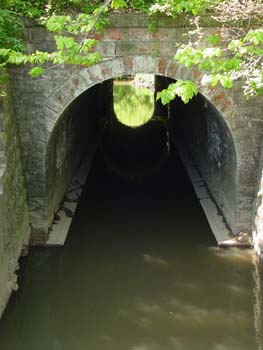 DSC00086
